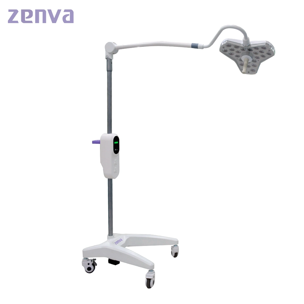 2021 Hot Model Exled300 Mobile LED Operating/Surgical/Operation Examination Lamp for Small Clinic