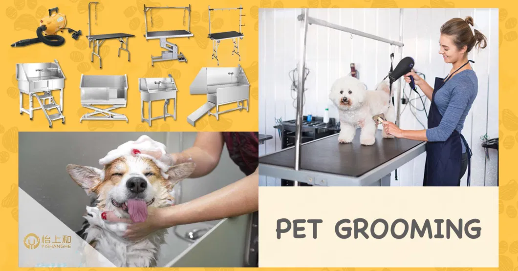 Medical Dog Grooming Tub Pet Cleaning Sink Veterinary Washing Equipment