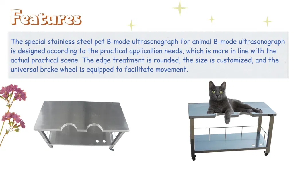 Veterinary Surgical Stainless Steel Pet B-Mode Ultrasound Operating Table