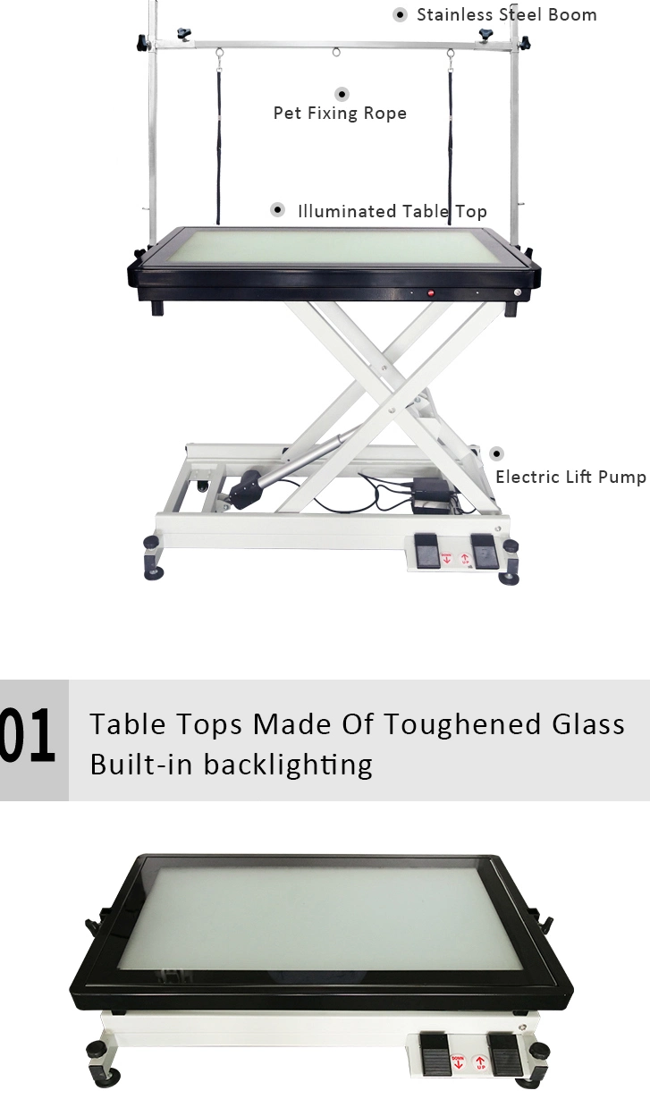 Hot Selling Height Adjustable Hydraulic Electric Pet Medical Table